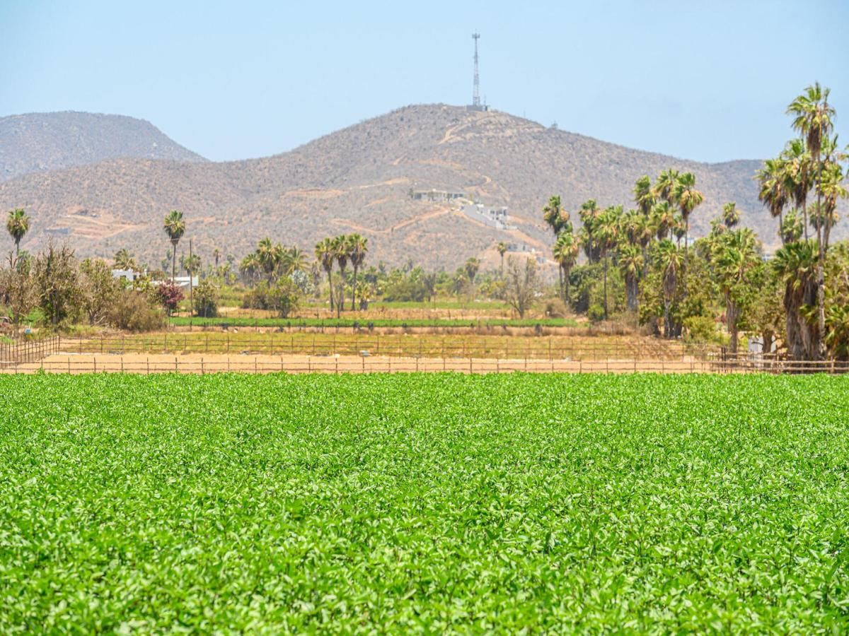 MLS #24-3897 image #0