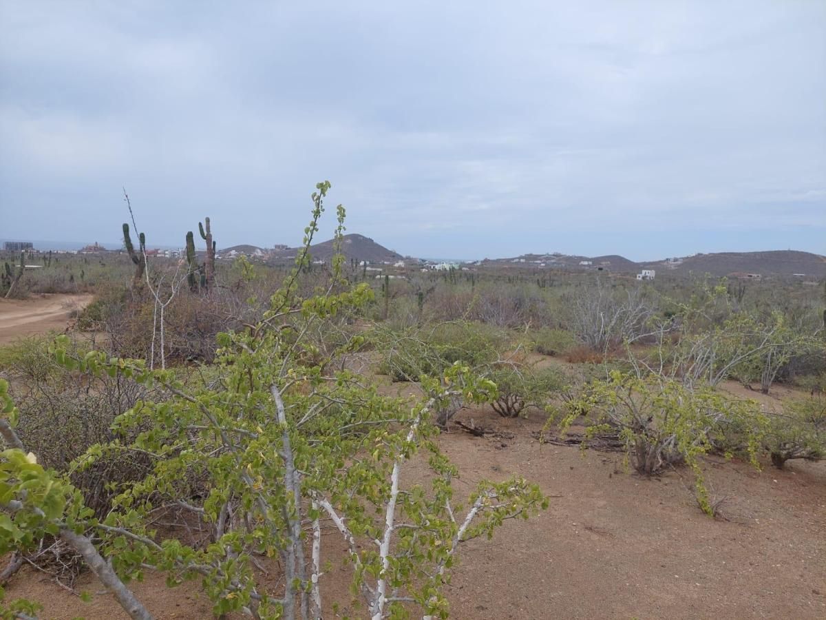 MLS #24-3986 image #0