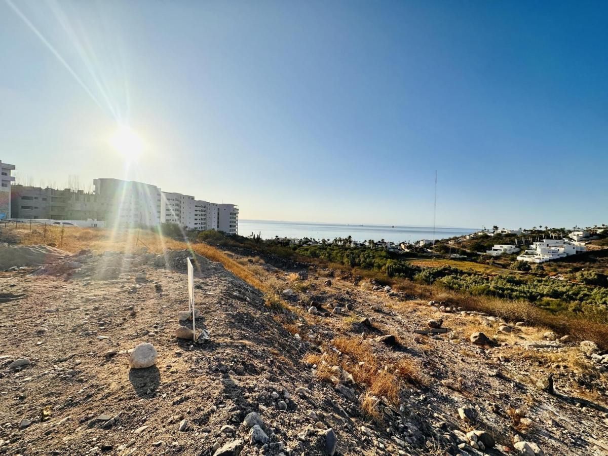 MLS #24-4187 image #0