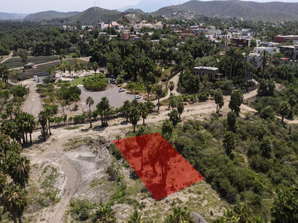 MLS #24-4380 image #0