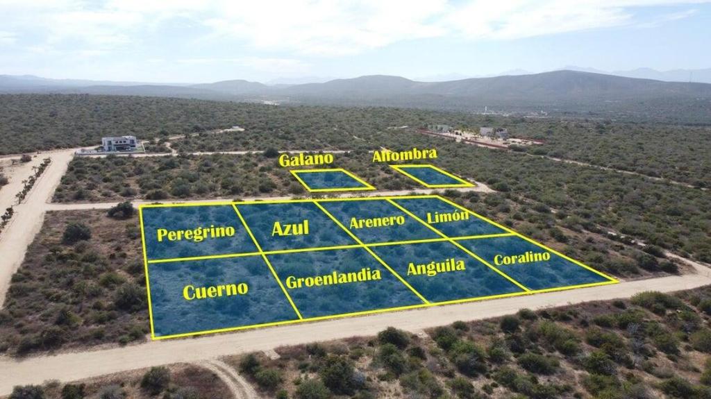 MLS #24-4390 image #0