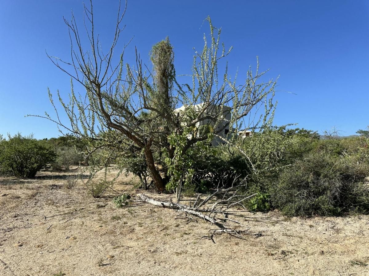 Vista Grande Lot La Paz BCS MLS #24-4498 37 MLS #24-4498 image #0