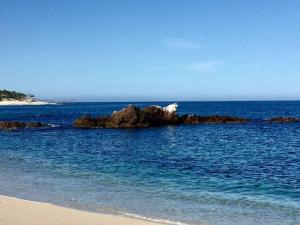 Rancho Cerro Colorado Mountain Top San Jose Corridor BCS MLS #24-4528 41 MLS #24-4528 image #0