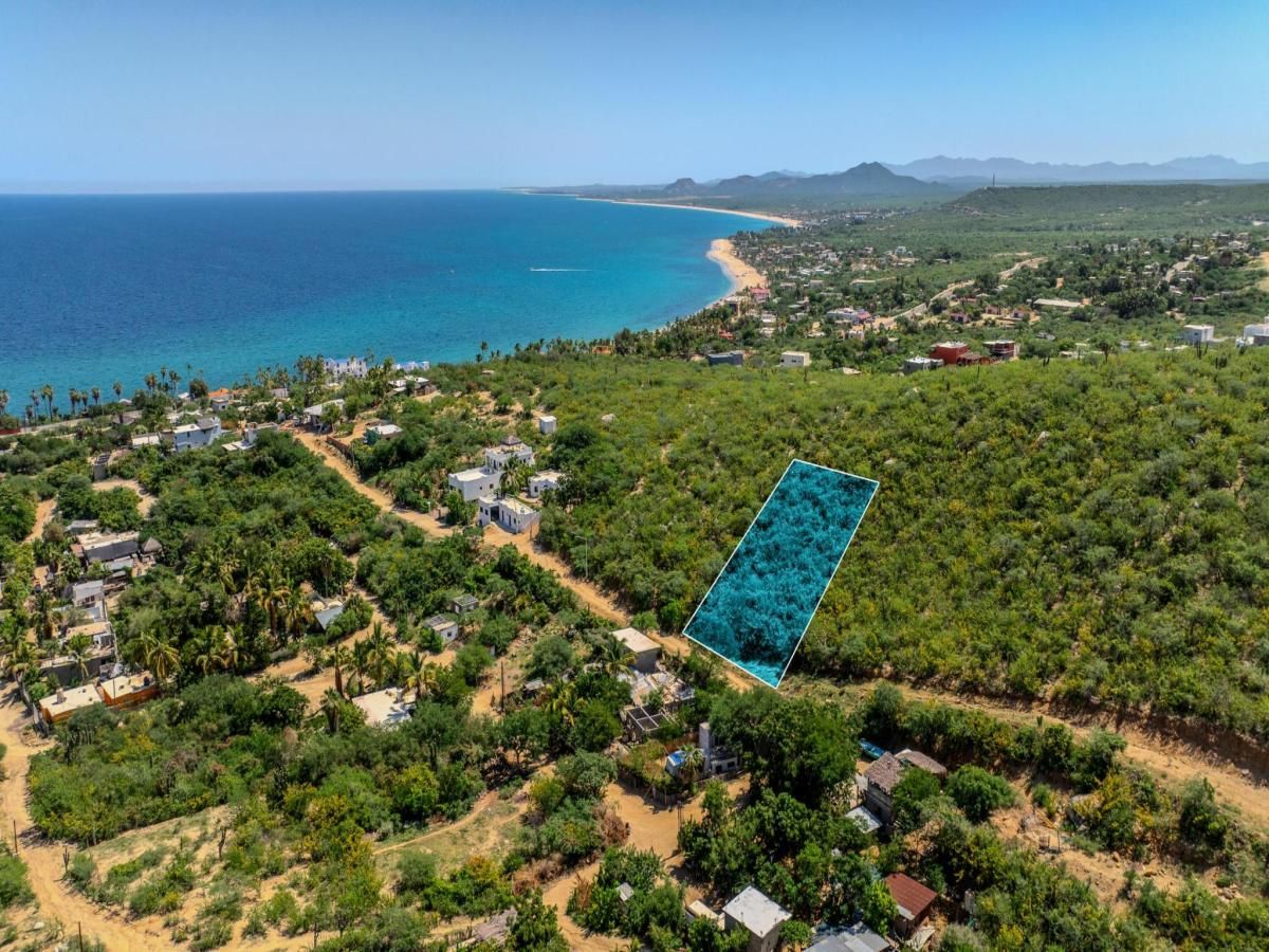 MLS #24-4565 image #0