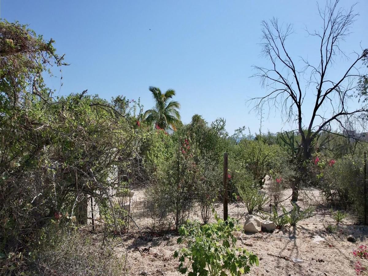 MLS #24-4569 image #0