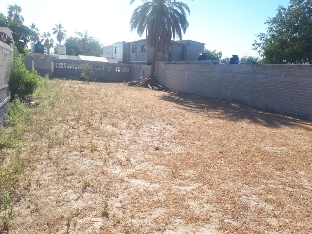 MLS #24-4657 image #0