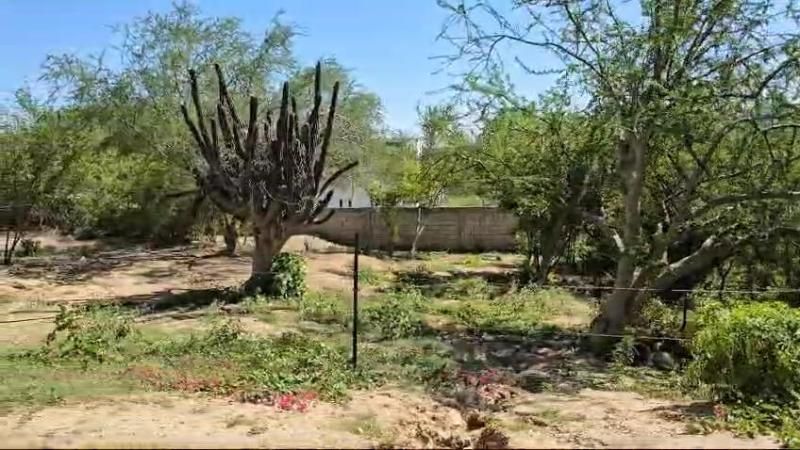 MLS #24-4705 image #0