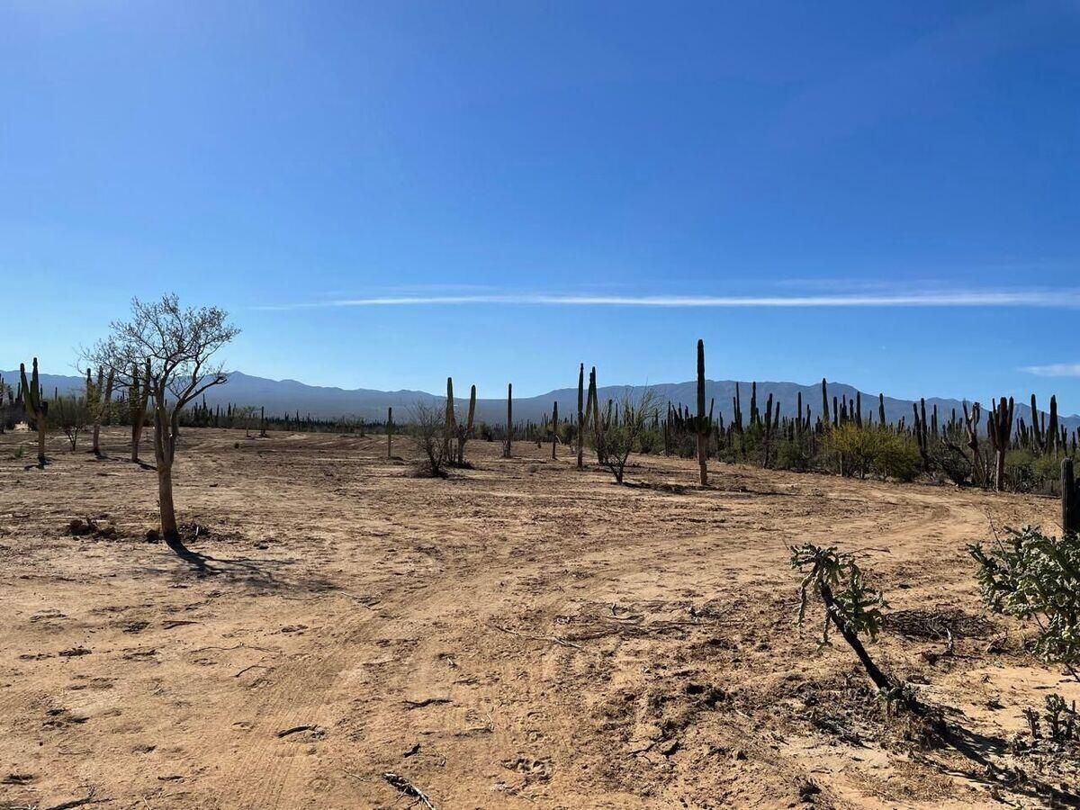 MLS #24-4783 image #0