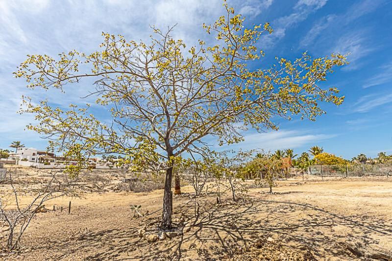 MLS #24-4819 image #0