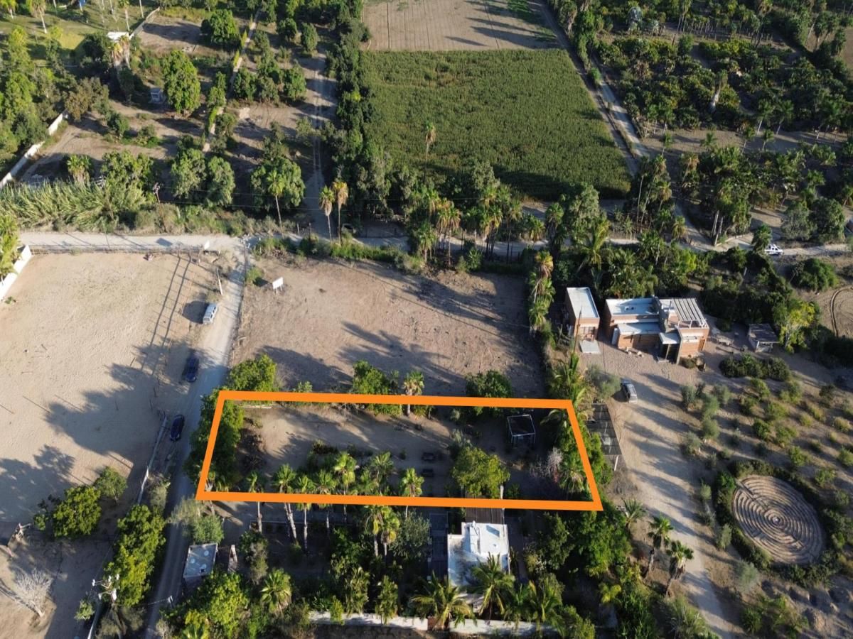 Cachora Garden Lot Pacific BCS MLS #24-4911 41 MLS #24-4911 image #0