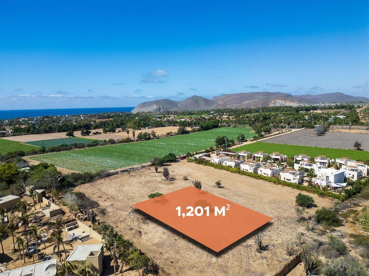 MLS #24-4949 image #0