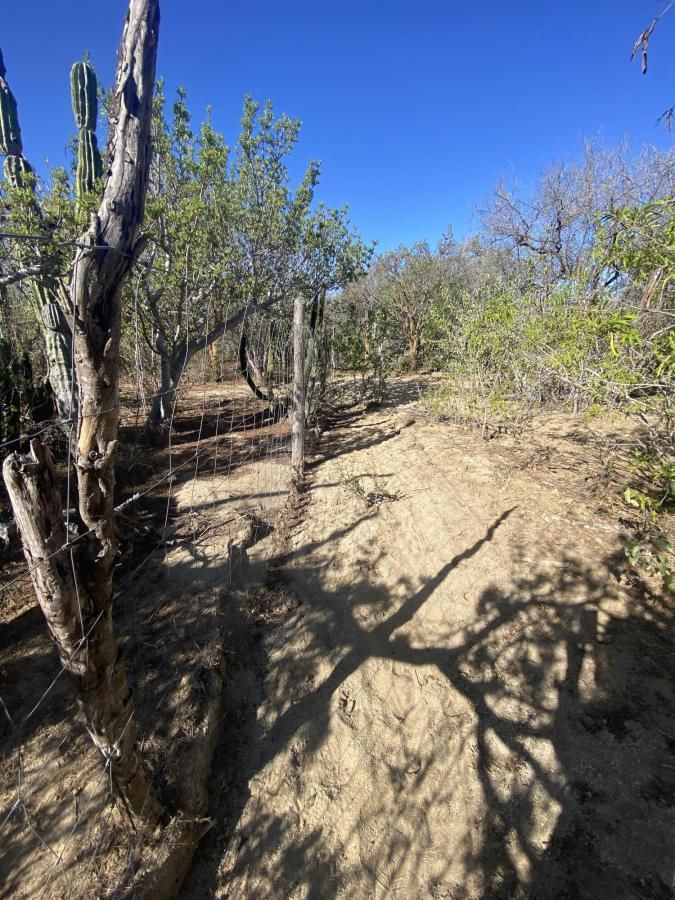 Artist Retreat Mountain Oasis Pacific BCS MLS #24-4954 41 MLS #24-4954 image #0