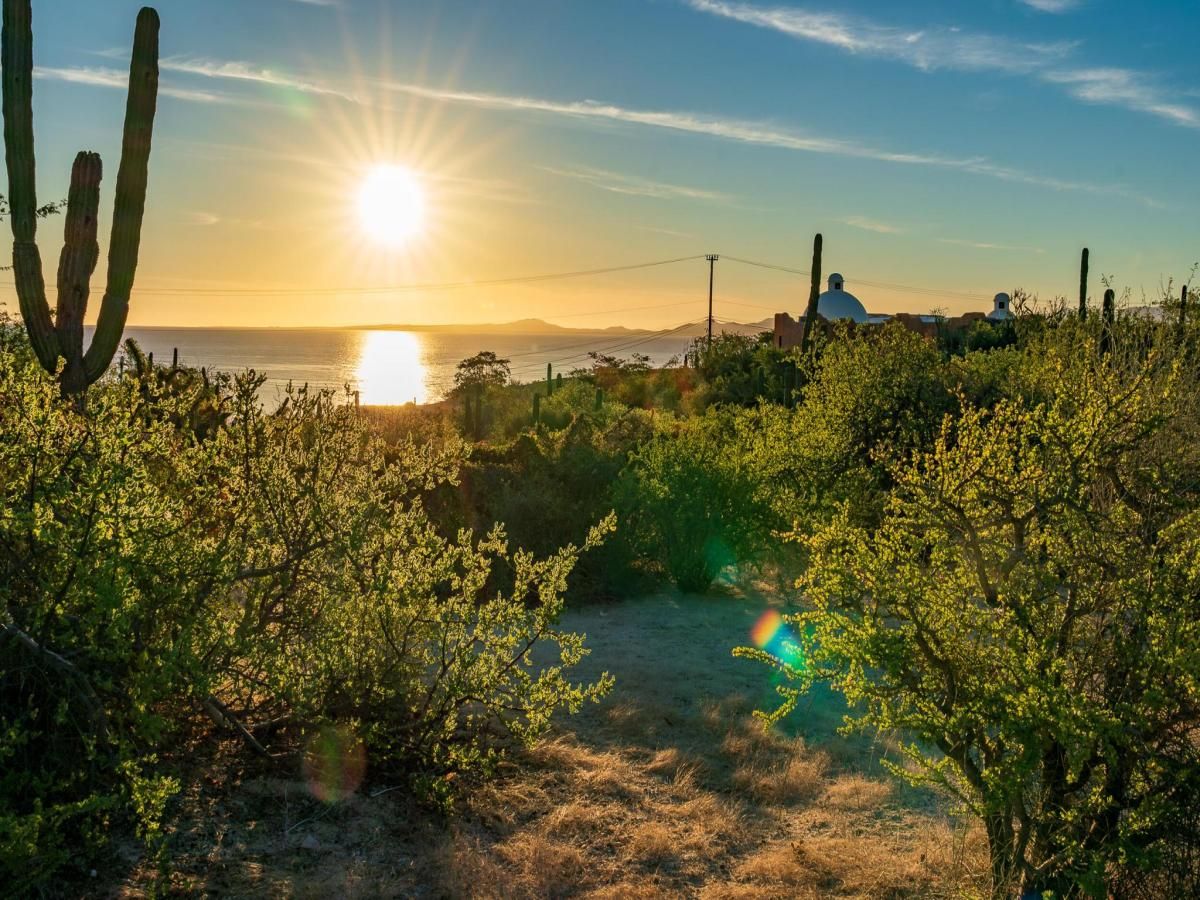 1924 Calle Alga Marina Beach Access Lot La Paz BCS MLS #24-5016 39 MLS #24-5016 image #0