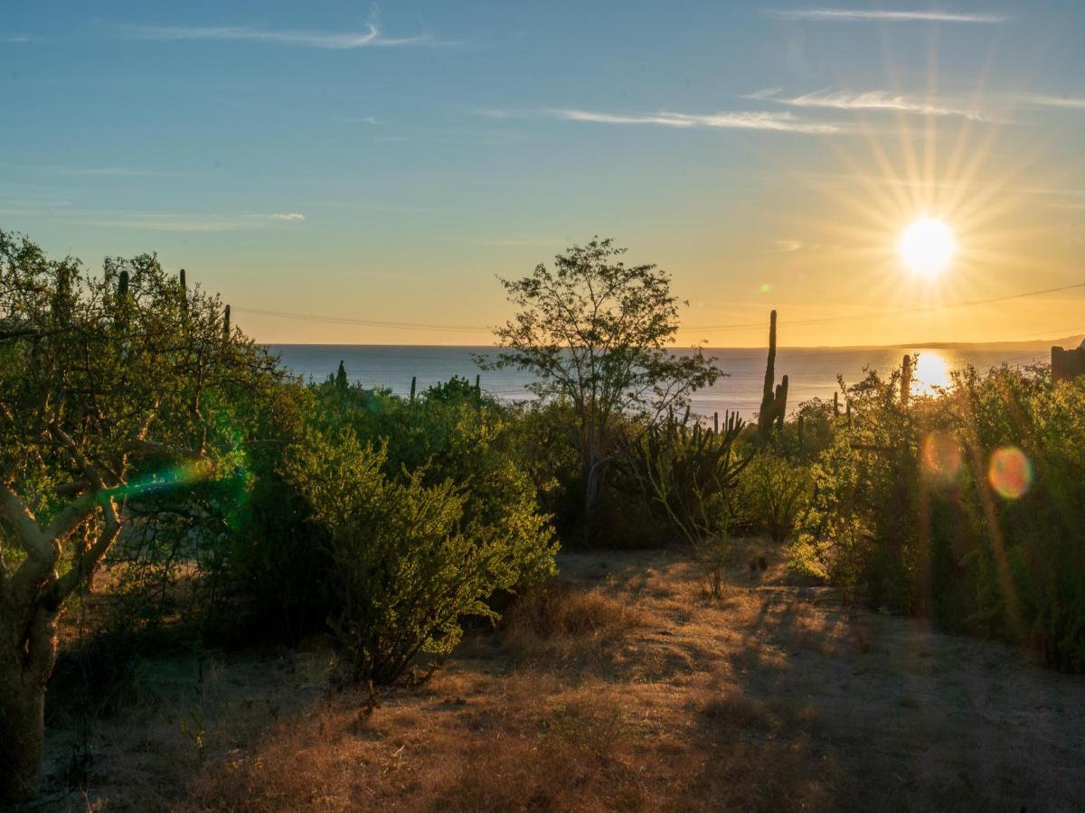 MLS #24-5017 image #0