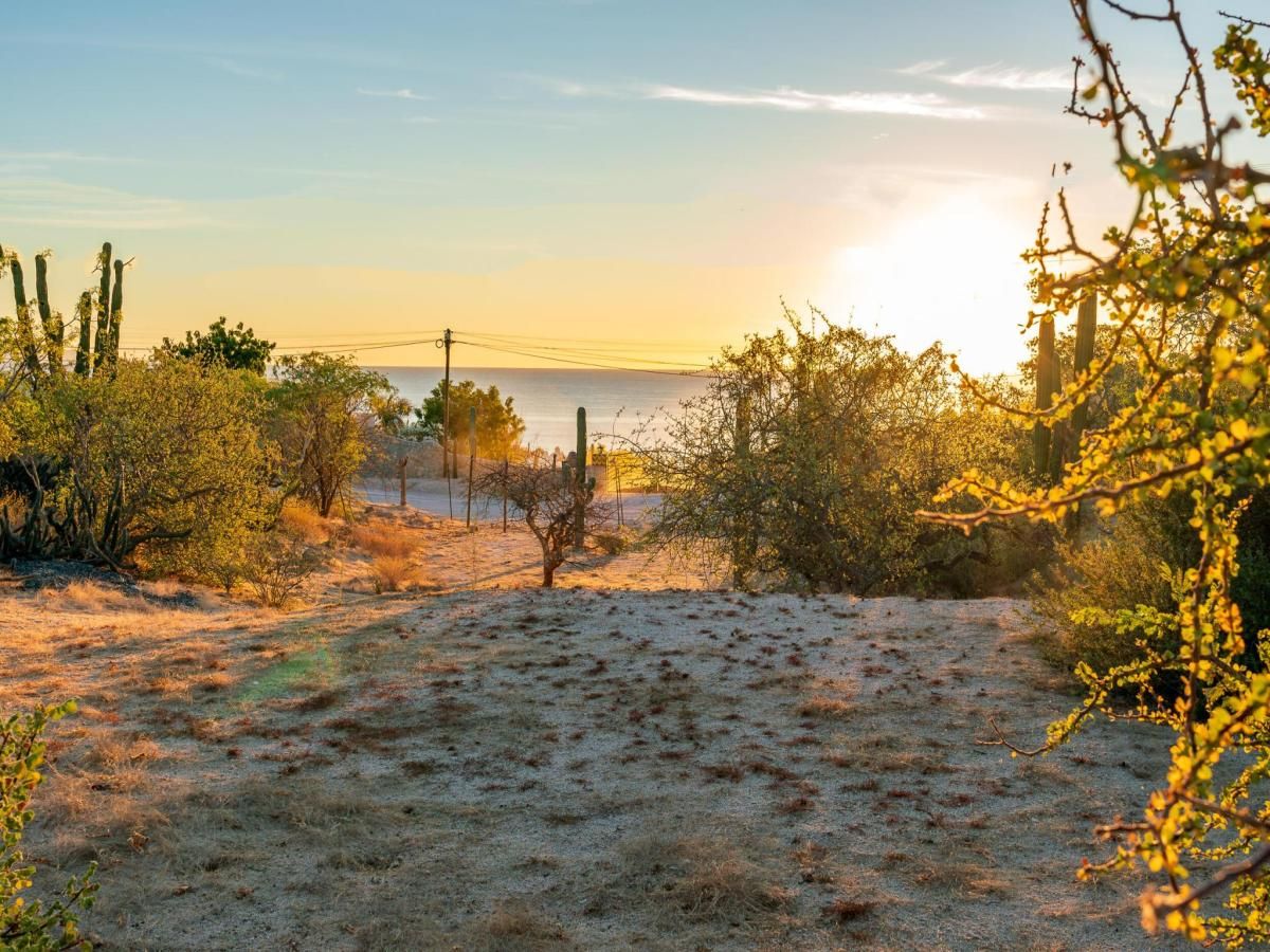 Combined Lot 0468 1924 1925 Near Two Acre Rare Opportunity La Paz BCS MLS #24-5019 37 MLS #24-5019 image #0