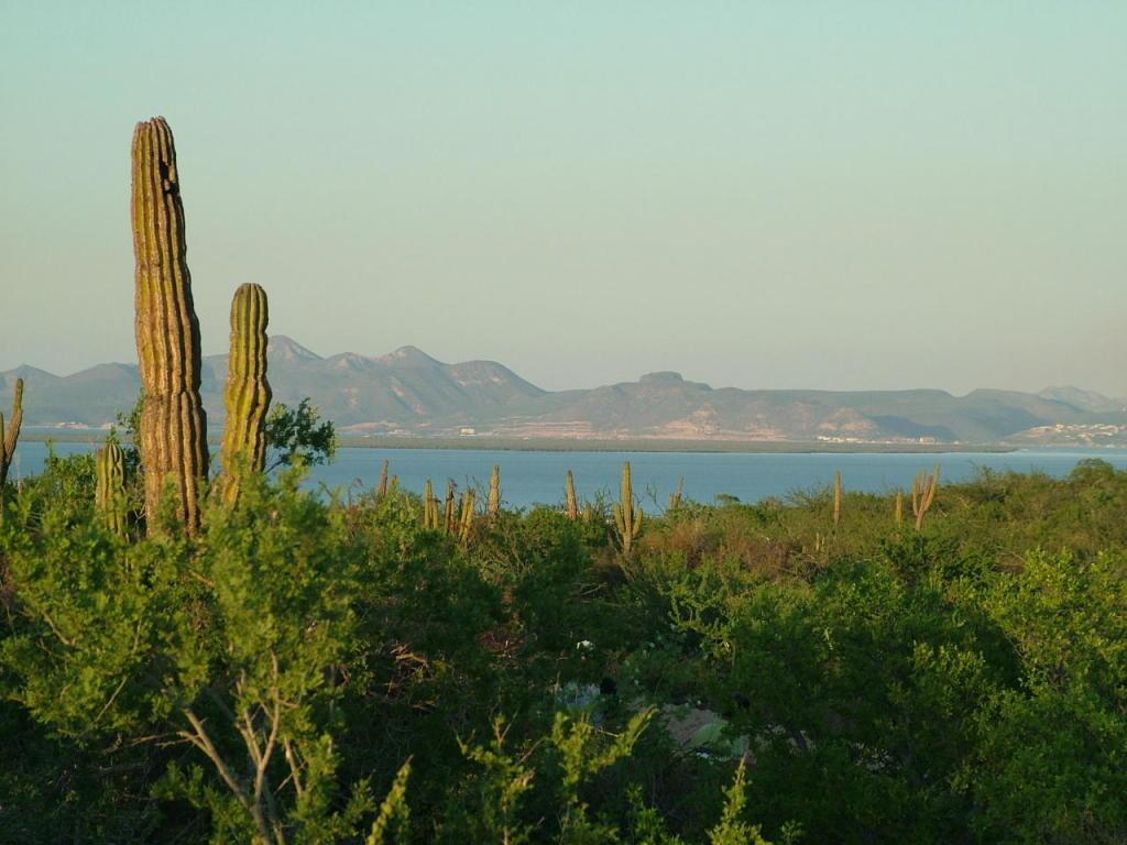 MLS #24-5337 image #0