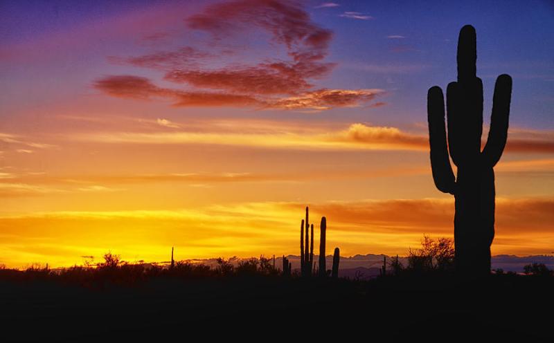 MLS #24-5346 image #0