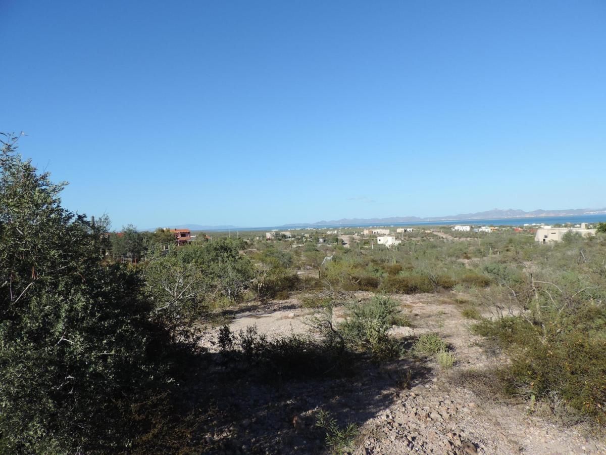 MLS #24-5347 image #0