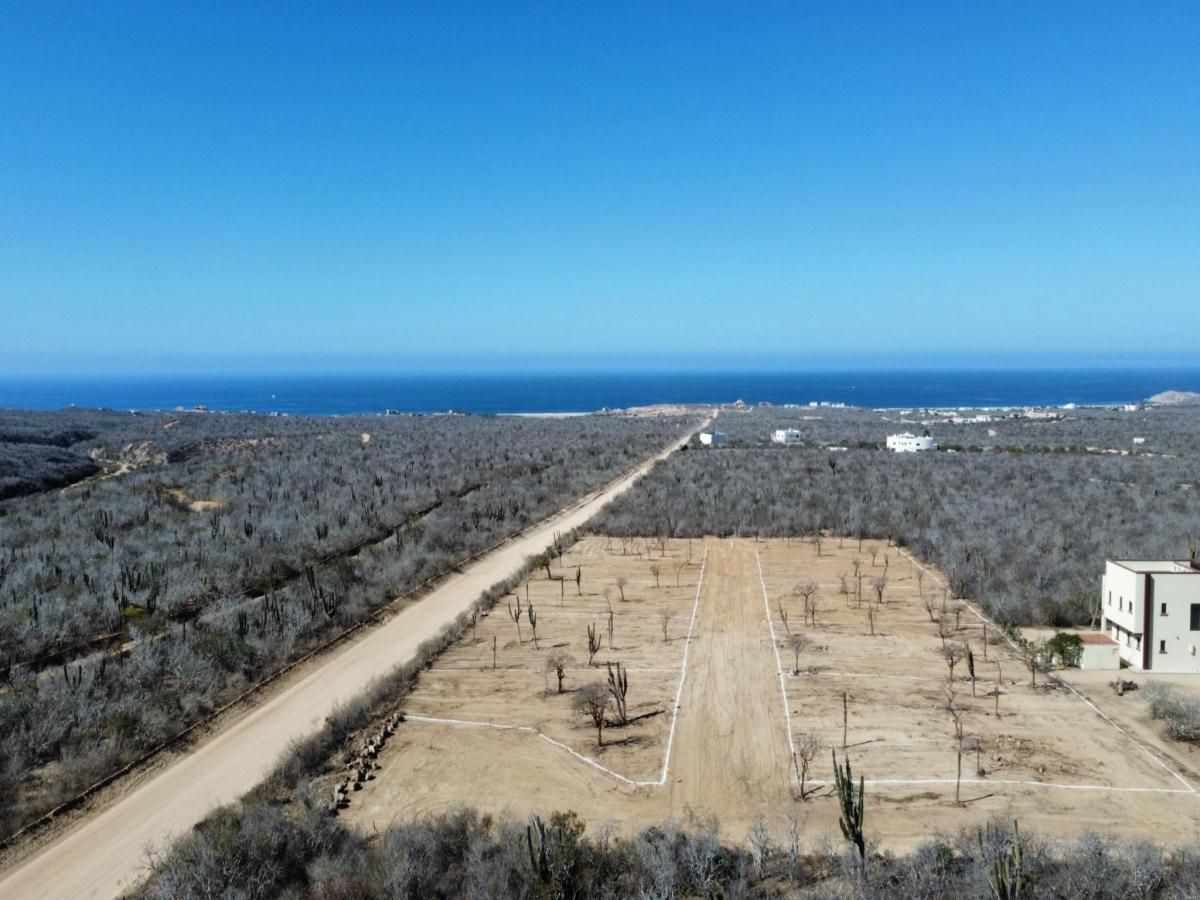 MLS #24-5448 image #0