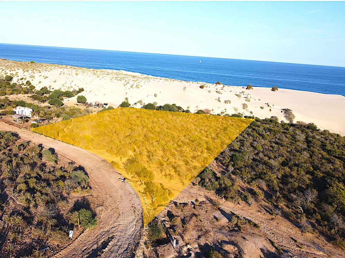 MLS #24-5542 image #0