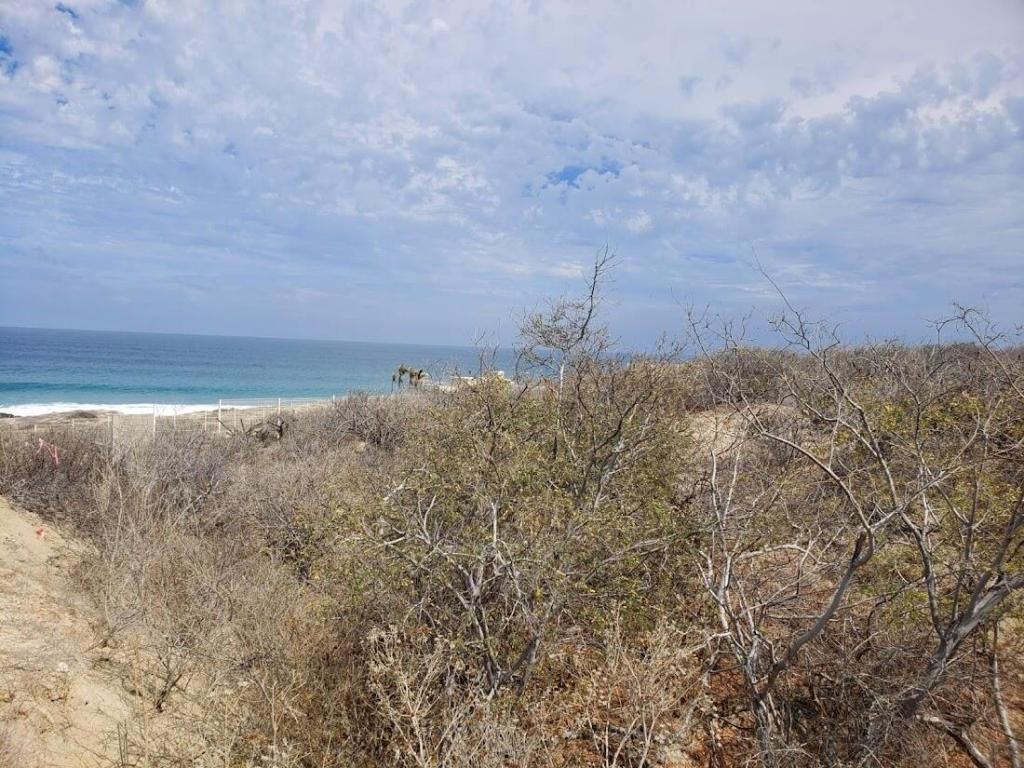 MLS #24-5633 image #0