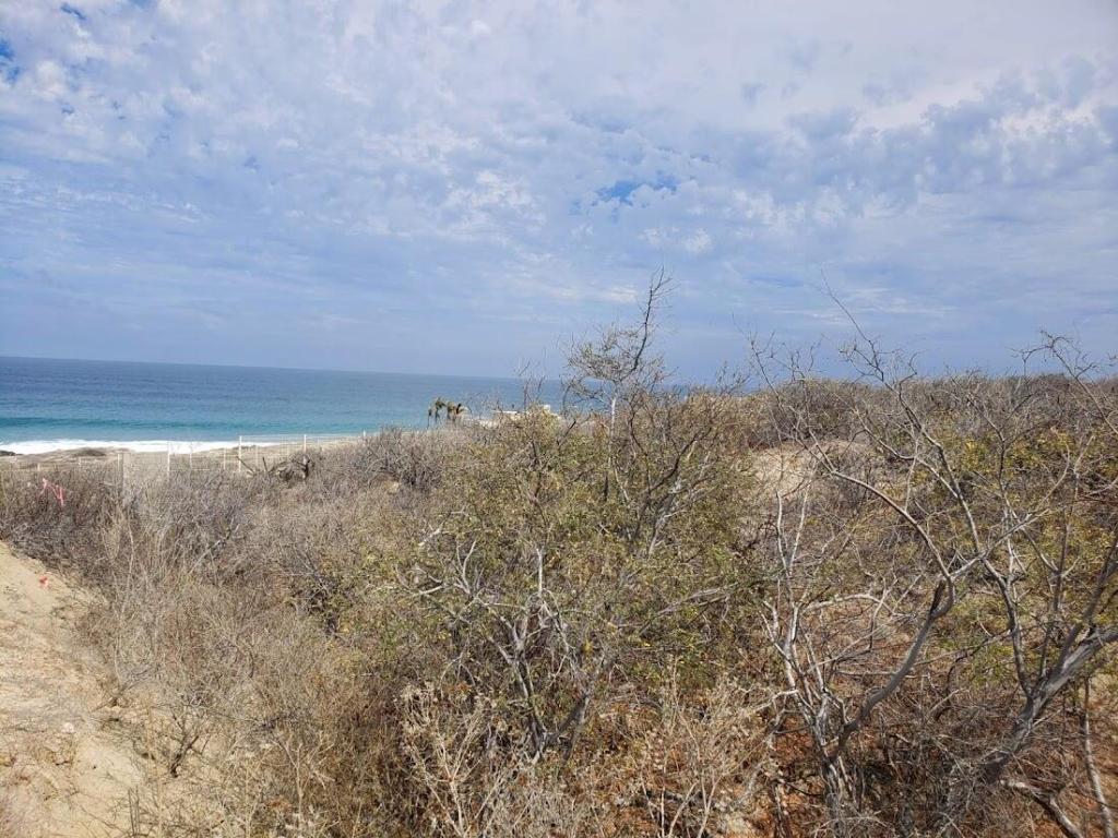 MLS #24-5633 image #0