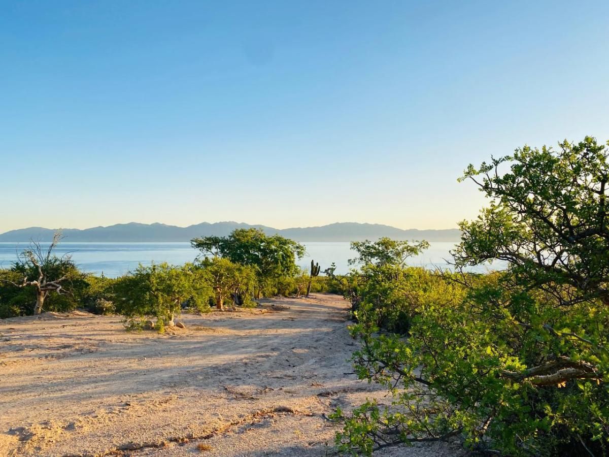 Sin Nombre S/N Oasis Paraiso Lot 1 La Paz BCS MLS #24-5831 29 MLS #24-5831 image #0
