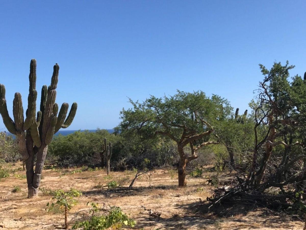 MLS #24-586 image #0