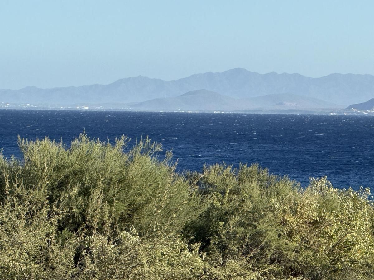 MLS #24-5976 image #0