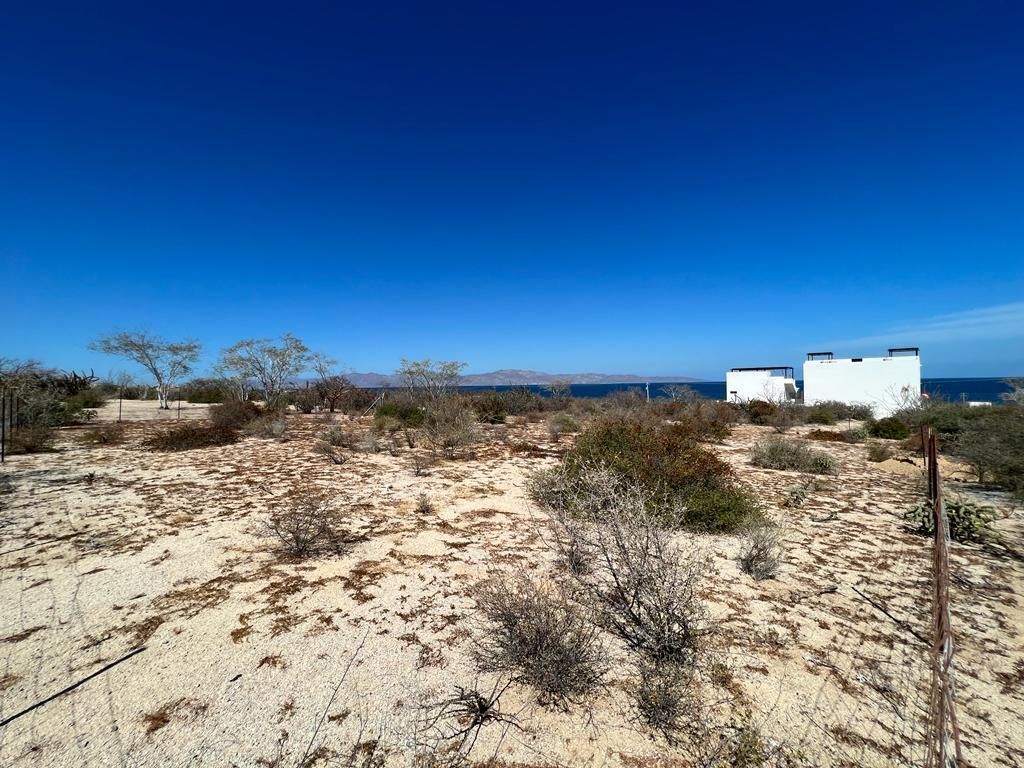 MLS #24-5990 image #0