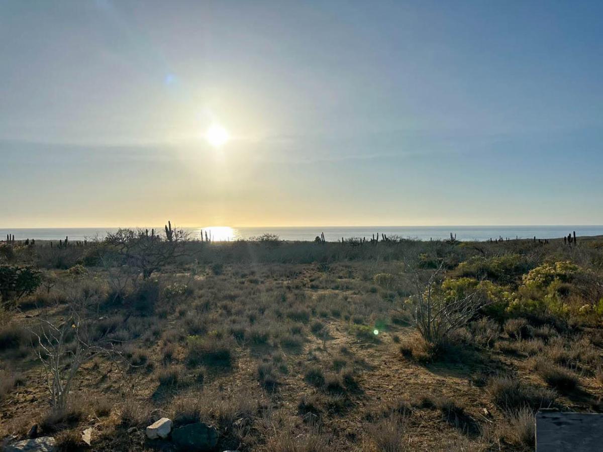 MLS #24-6002 image #0