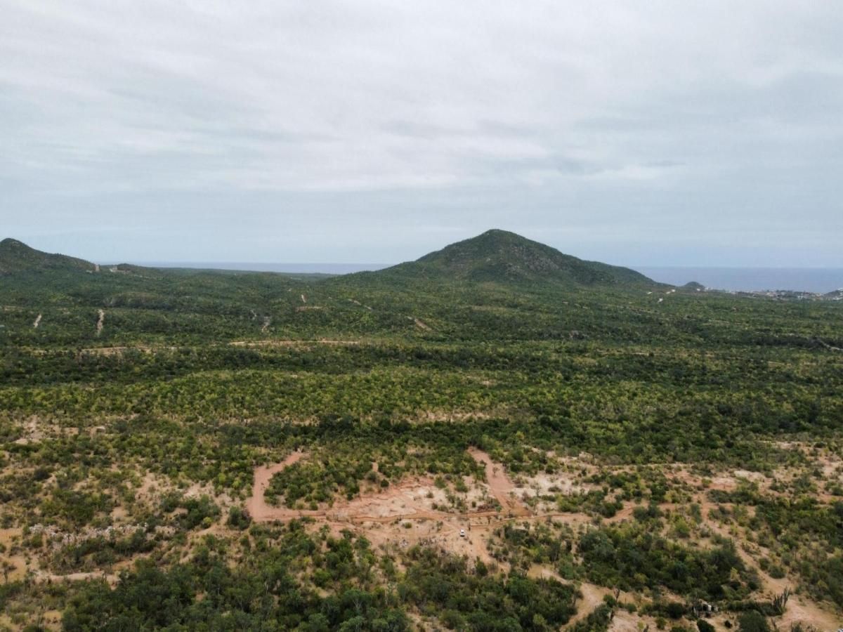 MLS #24-6028 image #0