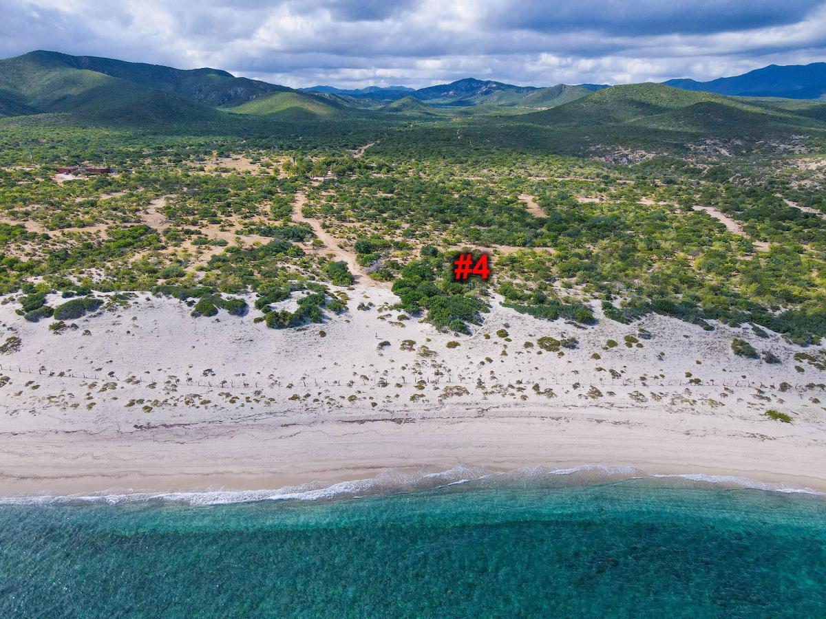 MLS #24-842 image #0