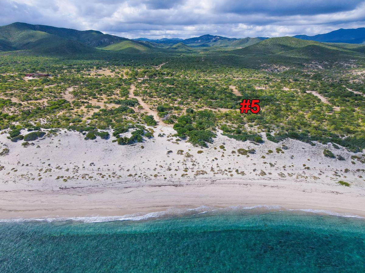 Las Dunas Section 5 East Cape BCS MLS #24-843 29 MLS #24-843 image #0