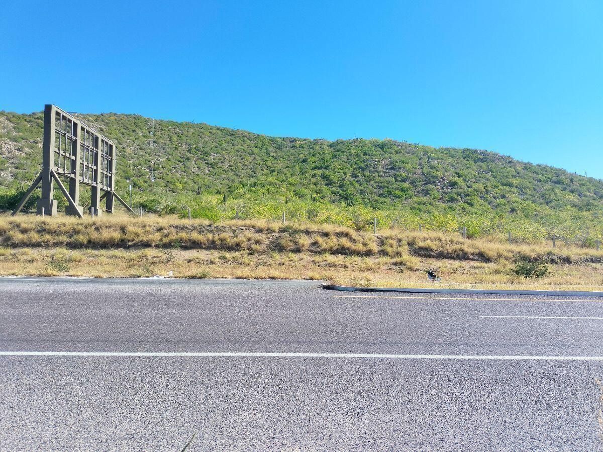 MLS #25-1313 image #0