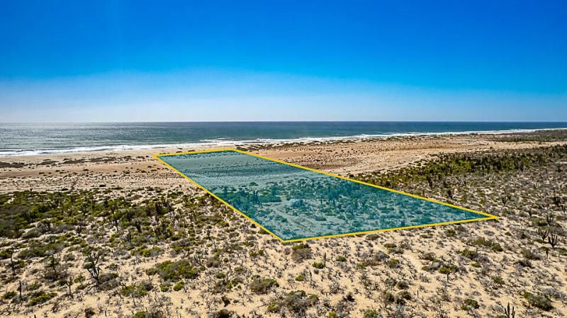 MLS #25-1337 image #0