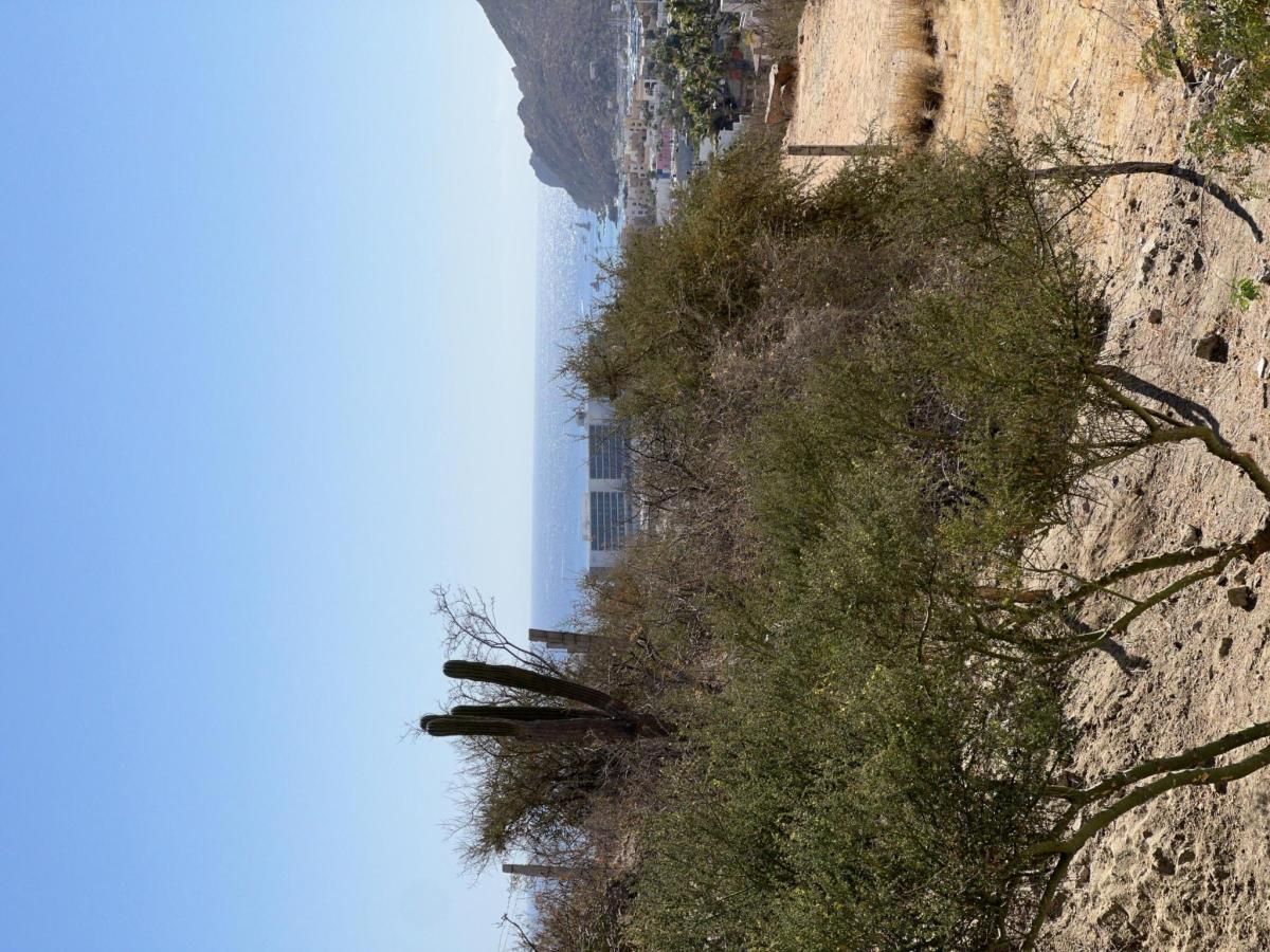 MLS #25-1396 image #0