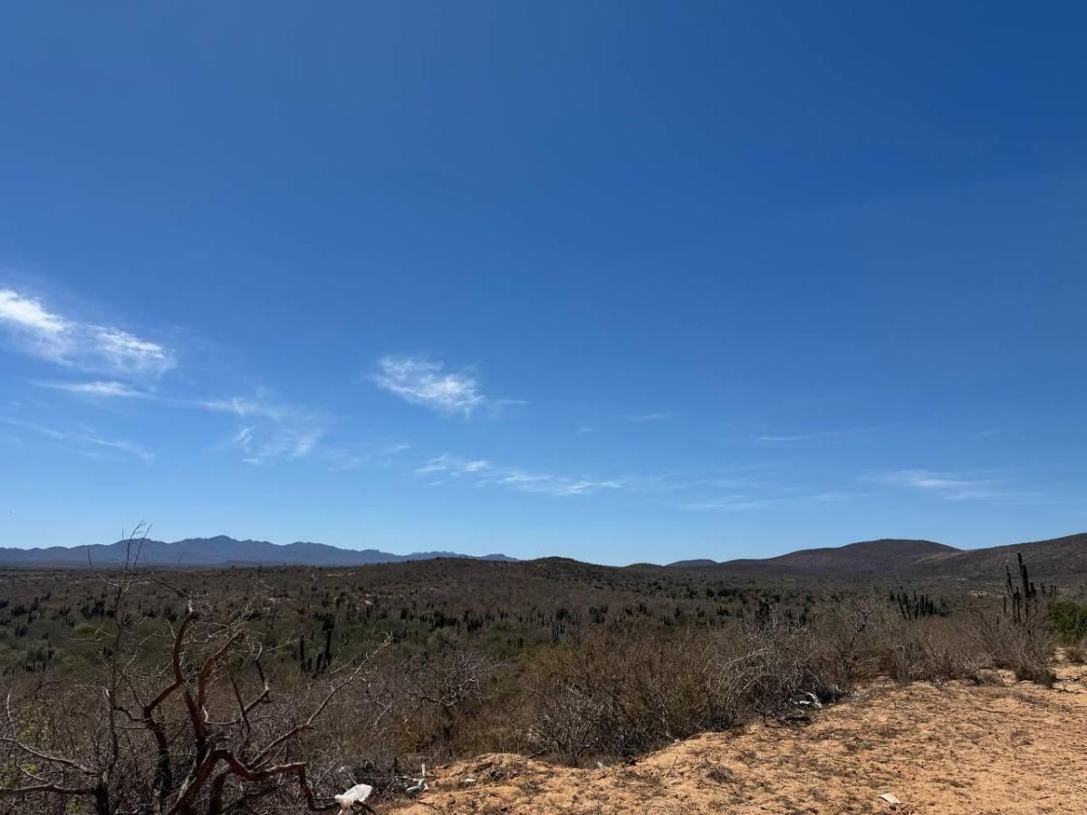 MLS #25-1630 image #0