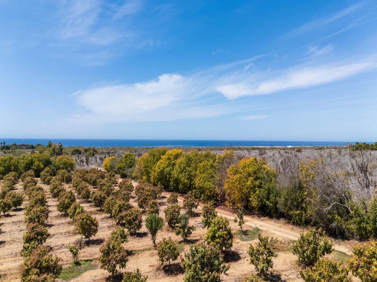 MLS #25-1703 image #0