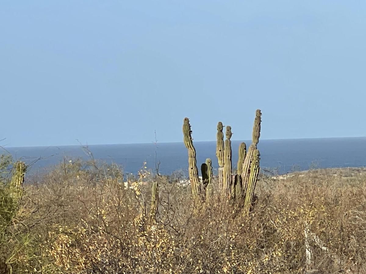 MLS #25-1812 image #0