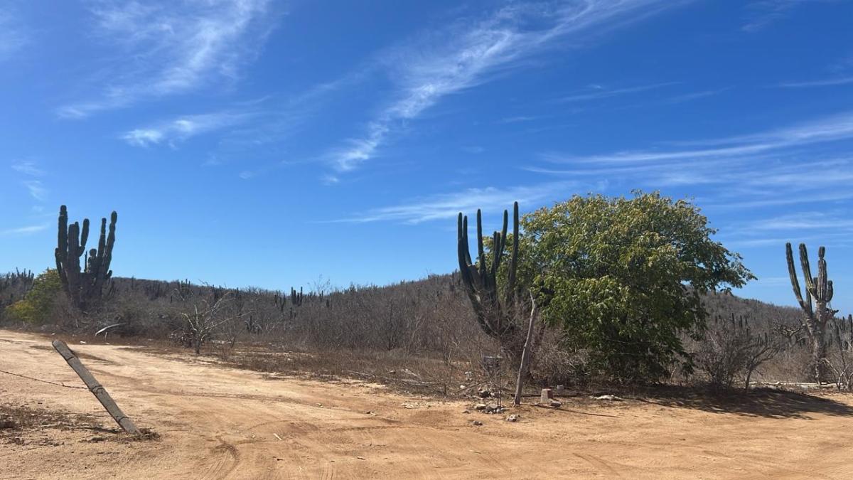 Property listings in San Cristobal Subdivision 3 MLS #25-1925 image #0