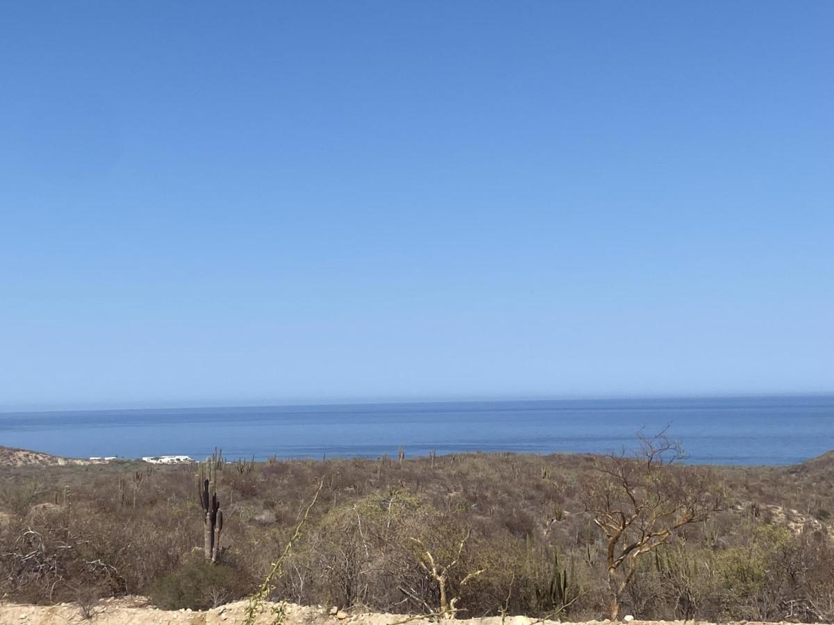 MLS #25-2022 image #0