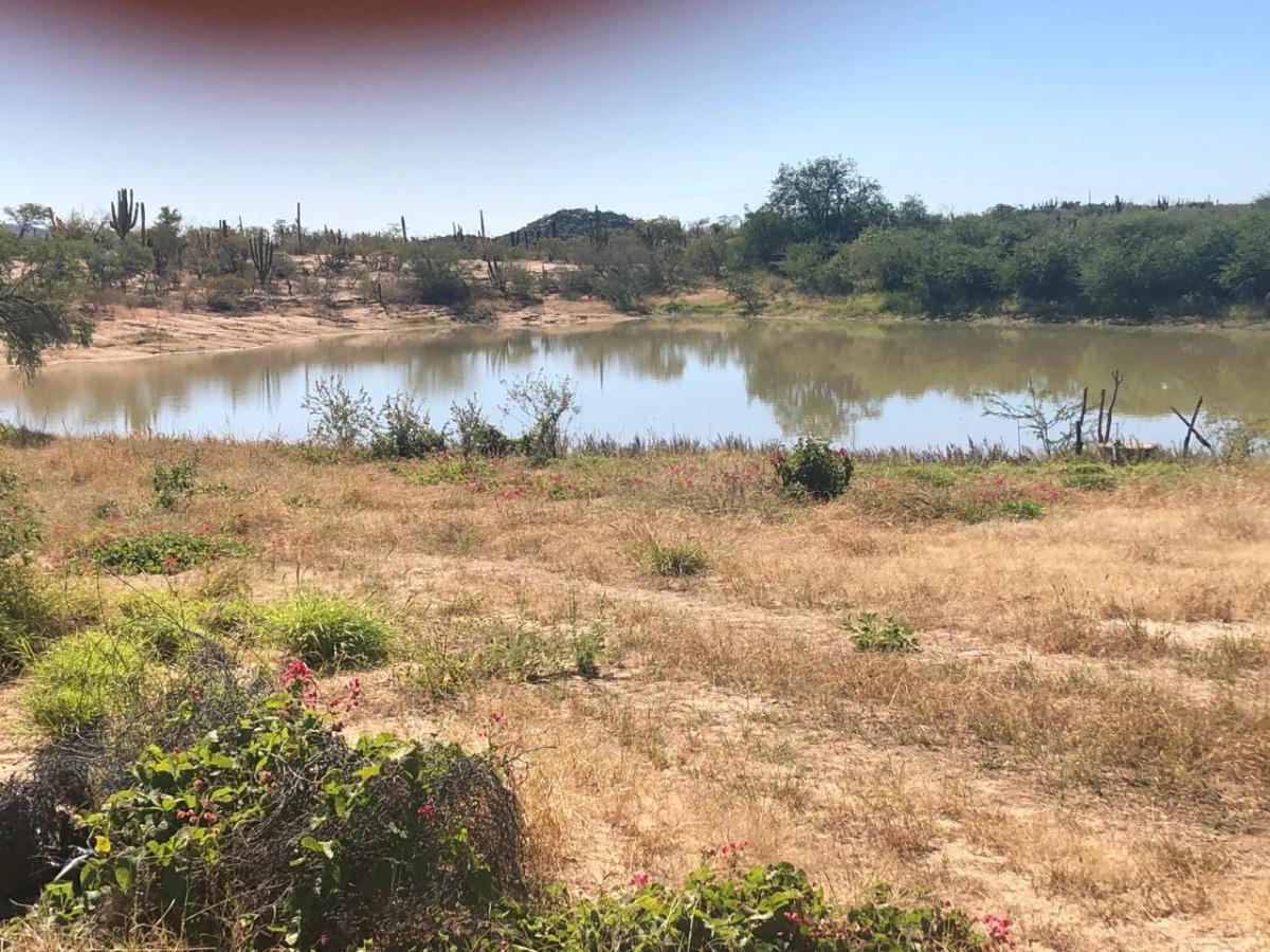 MLS #25-2112 image #0