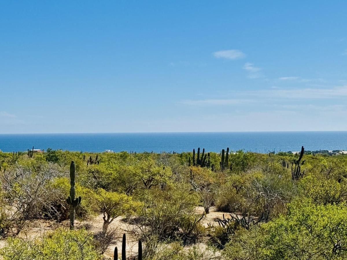 MLS #25-2119 image #0