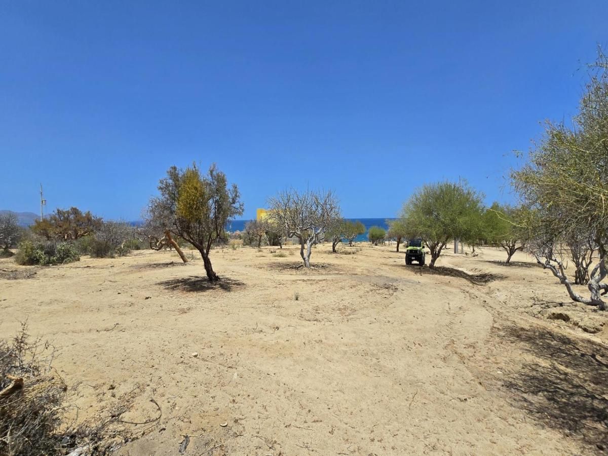 MLS #25-2316 image #0