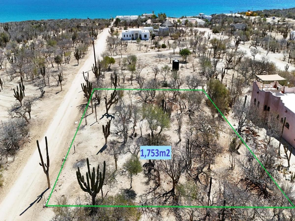 MLS #25-2321 image #0