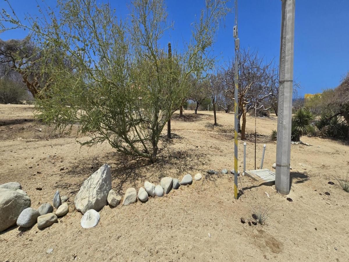 MLS #25-2329 image #0