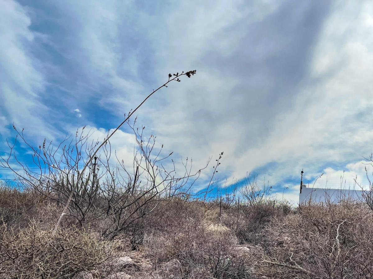 Colina del Sol Colina del Sol Lot La Paz BCS MLS #25-253 33 MLS #25-253 image #0