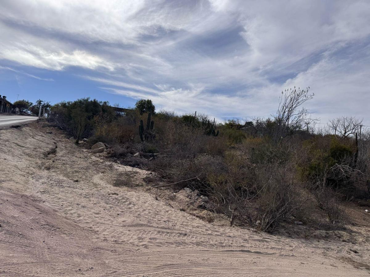 MLS #25-2612 image #0