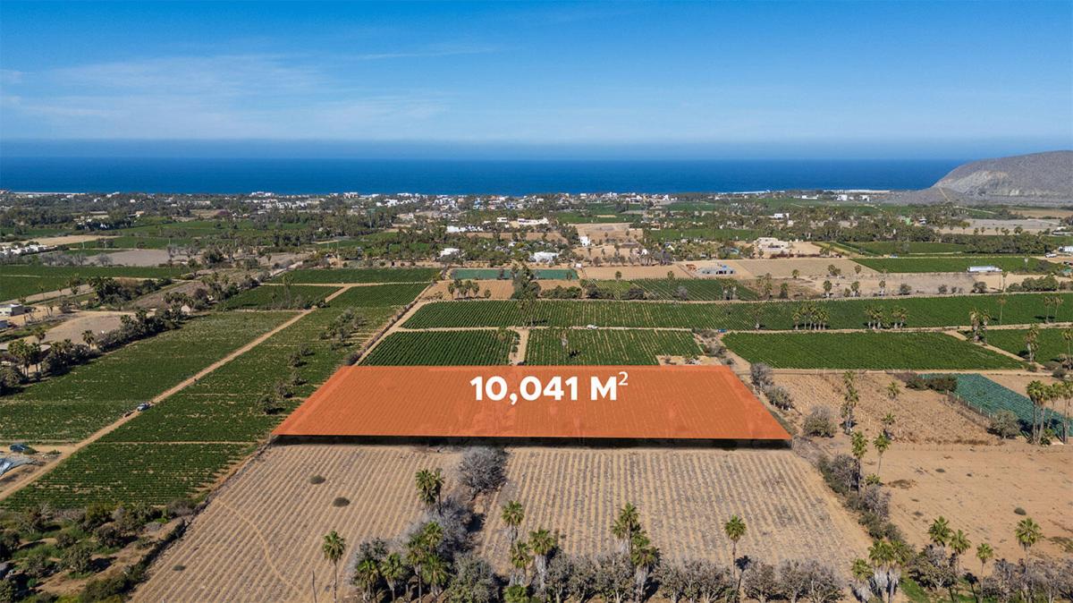 Huerta Tranquila Pacific BCS MLS #25-2663 37 MLS #25-2663 image #0